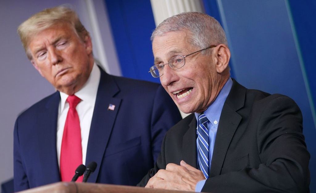 Principal infectólogo de EE.UU. recomienda no "volver a dar la mano nunca más" | Internacionales