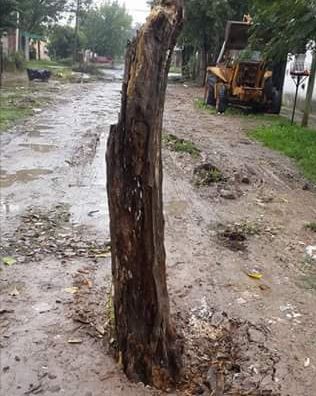 Así señalizaron un pozo en una calle de Claypole | Actualidad