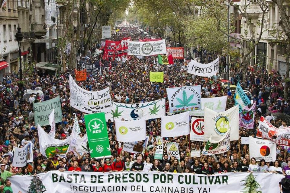 Este año realizan de manera virtual la Marcha Mundial de la Marihuana | Actualidad