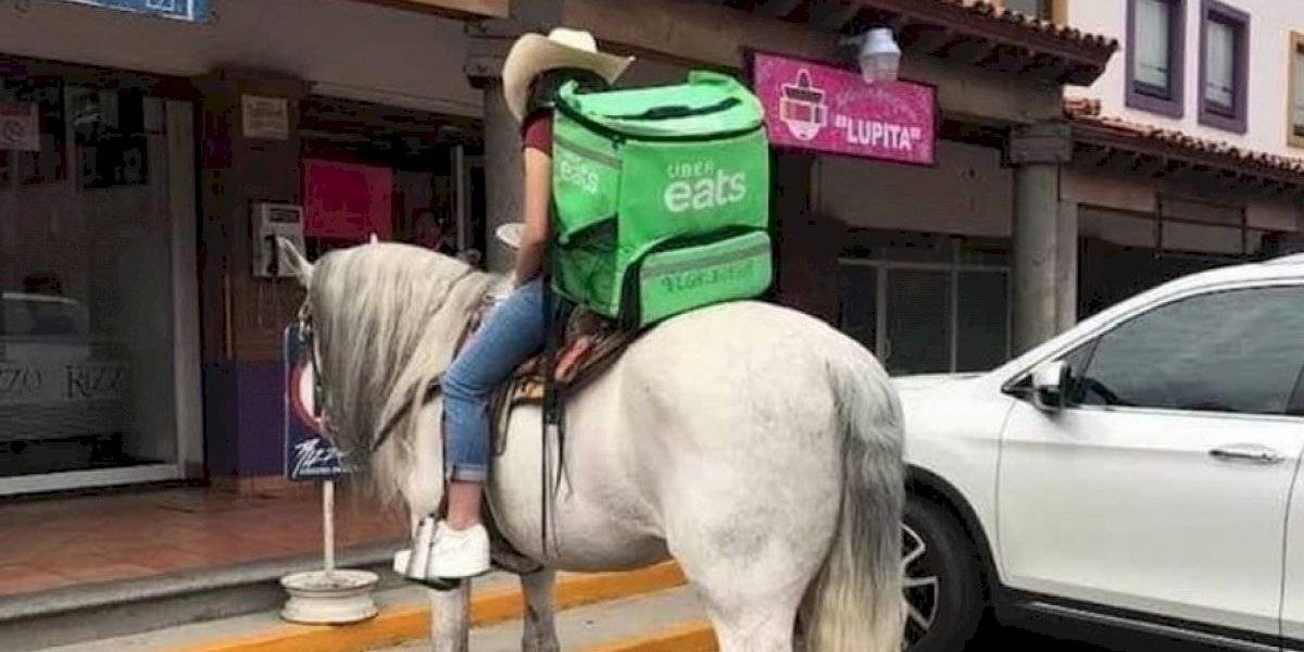 La foto viral de la chica que hace delivery arriba de un caballo blanco | Curiosidades
