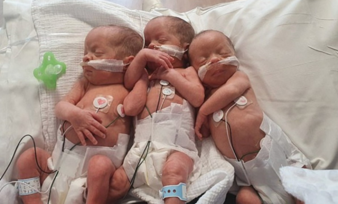Parto histórico: nacieron trillizos idénticos en Gales | Curiosidades