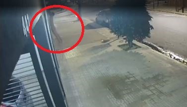 "Tarzán" ladrón en La Plata: descalzo y "en cuero", trepó para robar en un edificio | Actualidad