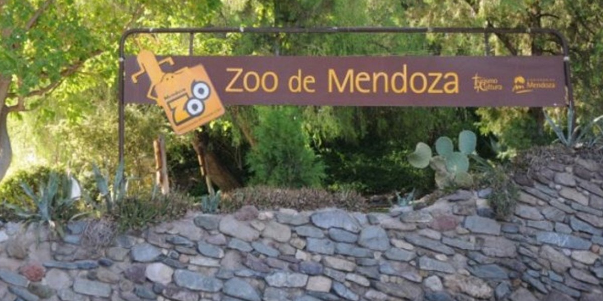 Murieron un puma y un guacamayo en el zoológico de Mendoza | Actualidad