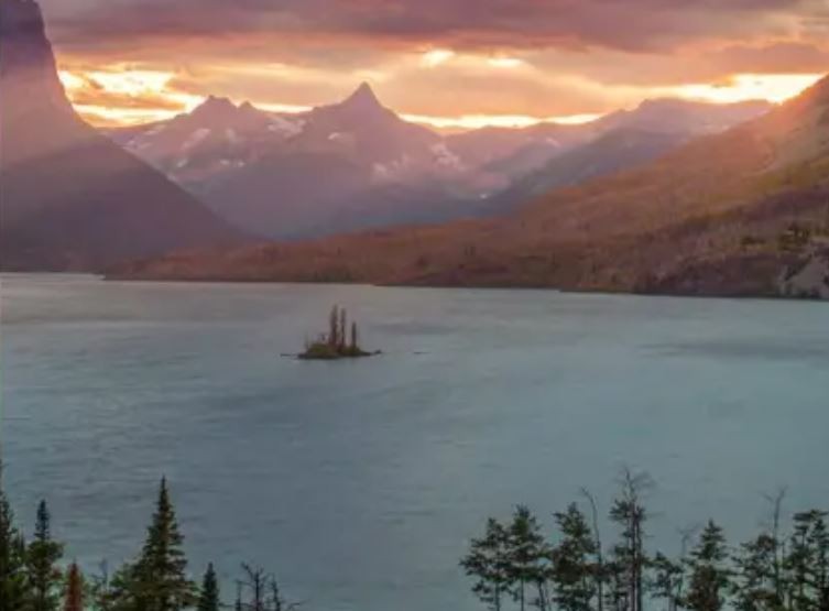 Alertan por un fondo de pantalla que puede dañar los celulares Android | Tecno