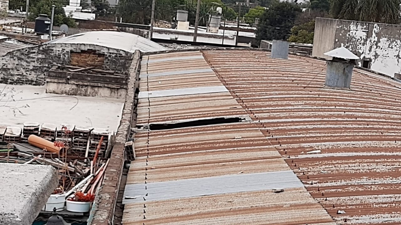 El rescate de una gata terminó en tragedia: una mujer cayó desde un techo y murió | Actualidad