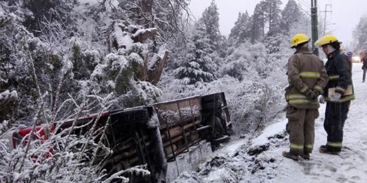 Volcó un colectivo con niños en Bariloche: los salvó de la caída un árbol | Actualidad