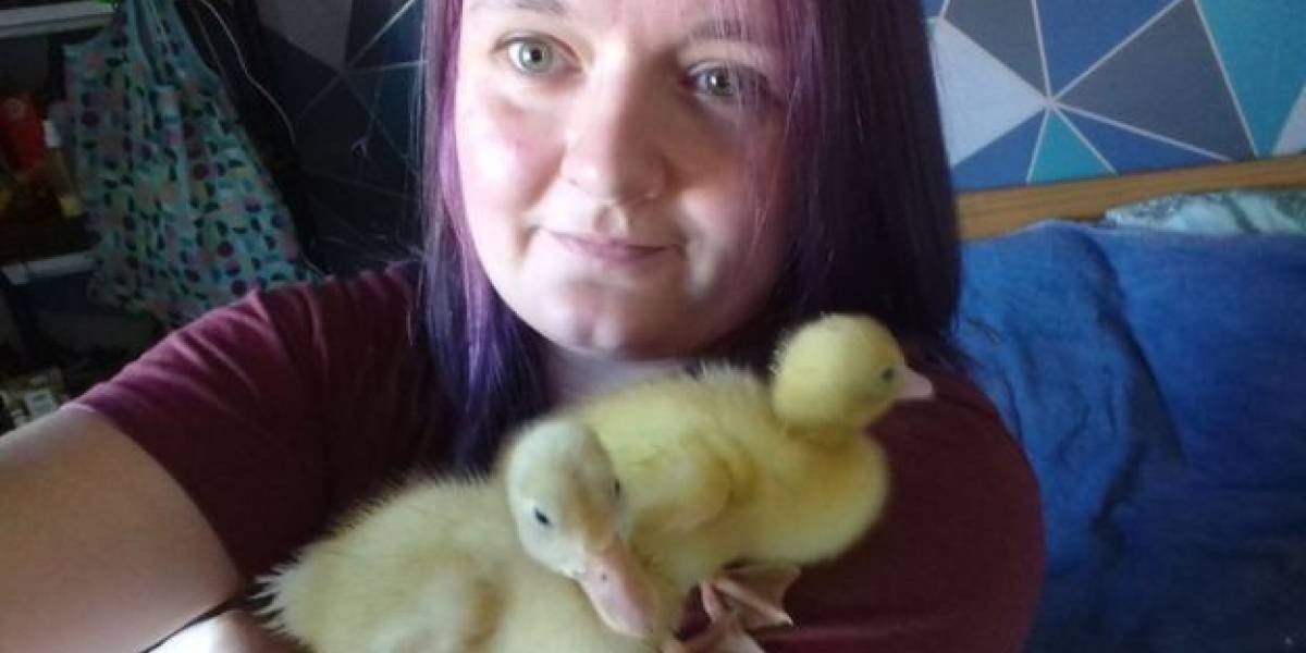 Compró huevos en un supermercado, los puso en una incubadora y obtuvo una grata sorpresa | Curiosidades