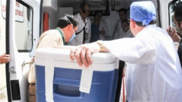 Una donación de órganos en Entre Ríos permite trasplantar a cinco personas | Actualidad