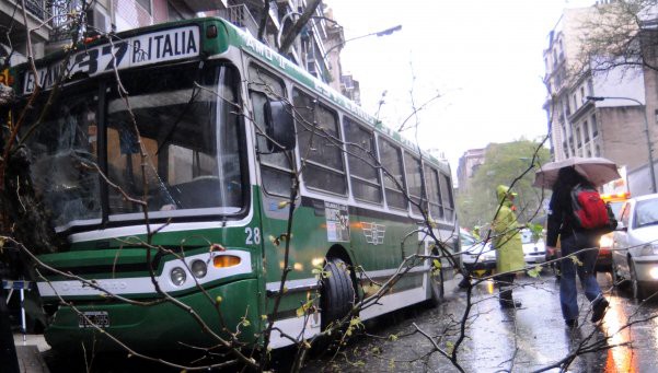 Condena de prisión en suspenso para colectivero que atropelló y mató a pasajero que le pateaba la puerta | Actualidad