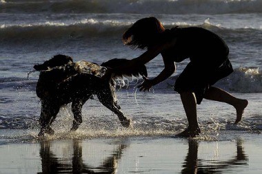 El municipio de Pinamar propone playa para perros | Actualidad