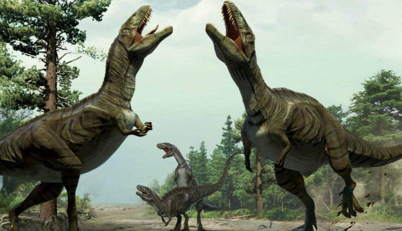 Encontraron el huevo de dinosaurio más chico del mundo | Curiosidades