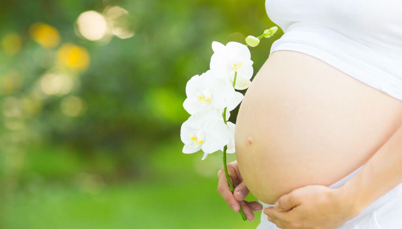 Justicia ordenó a obra social de Santa Fe cubrir tratamiento de fertilización a una mujer soltera | Actualidad