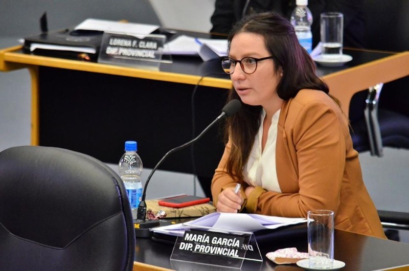 Proyecto para que víctimas de empleados despedidos por violencia de género ocupen sus cargos | Actualidad