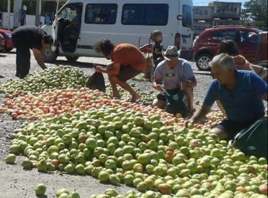 Regalarán 10 mil kilos de manzanas y peras en Plaza de Mayo | Actualidad