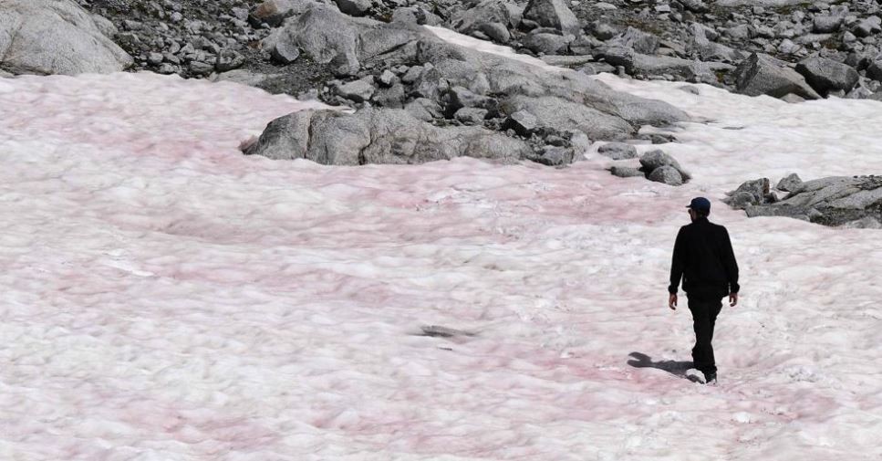 Las razones por las que el glaciar de los Alpes se tiñó de rojo | Internacionales