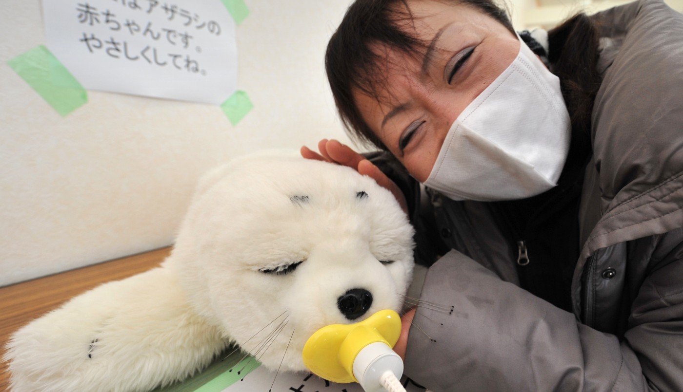 Estudio revela que interactuar con un robot terapéutico alivia la sensación del dolor | Actualidad