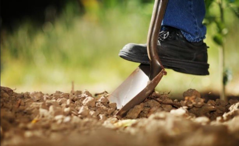 Cerró su joyería, escondió "tesoros" en lugares públicos y vende las pistas por internet | Curiosidades