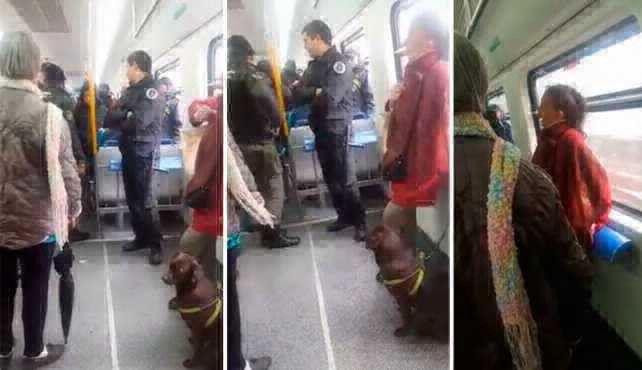 Video viral: la discusión en el tren por una mujer que quería viajar con un perro | Actualidad