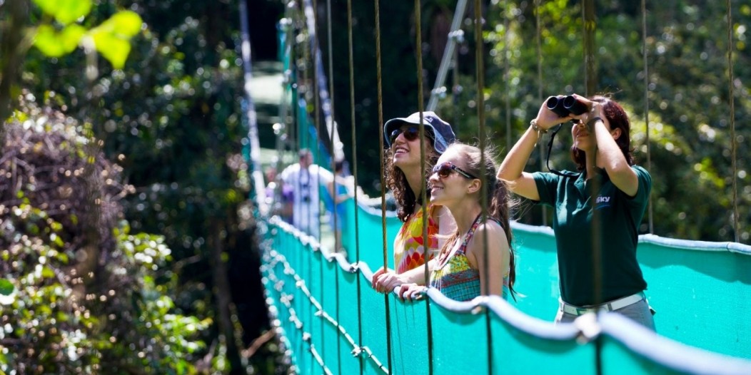 Costa Rica anuncia reapertura gradual al turismo internacional | Internacionales