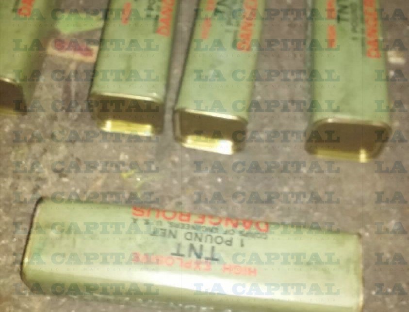 Un nene de 11 años paseaba al perro y encontró 2 kilos de explosivos | Actualidad