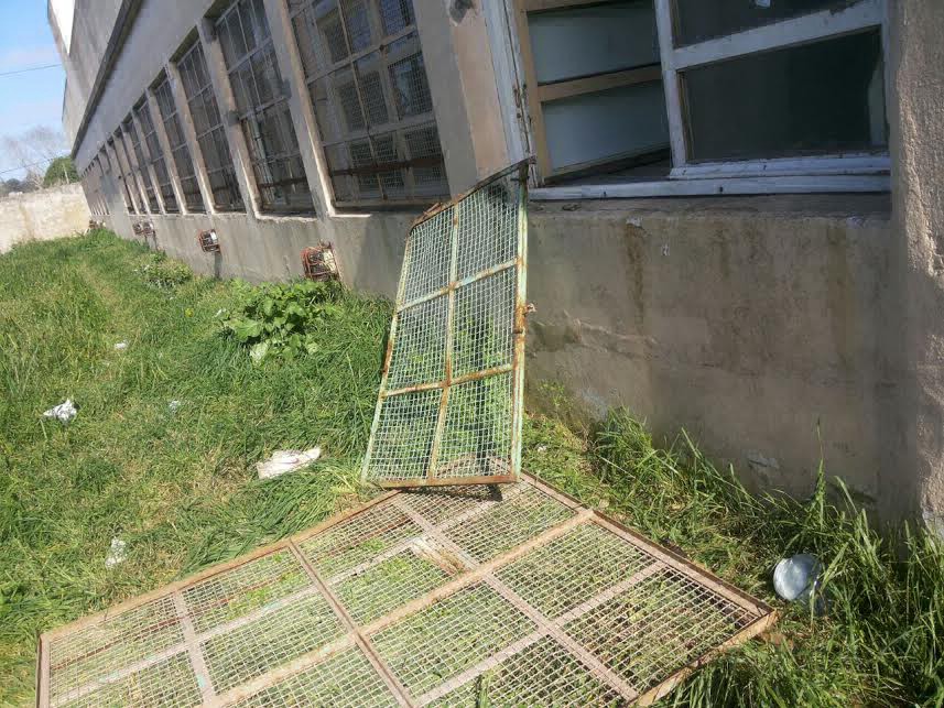 Saquearon una escuela durante el temporal en Mar del Plata | Actualidad