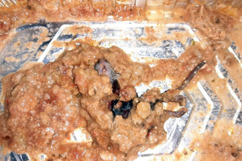 Una mujer encontró un ratón en una comida preparada que compró en el supermercado | Curiosidades