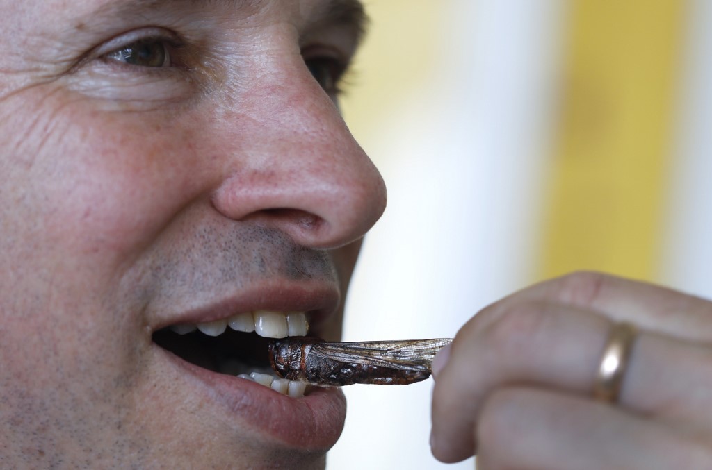 "Los saltamontes son la solución": exportan los insectos para comer | Curiosidades