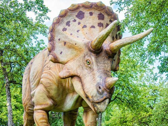 Por primera vez, descubrieron un cáncer de hueso en un dinosaurio | Internacionales
