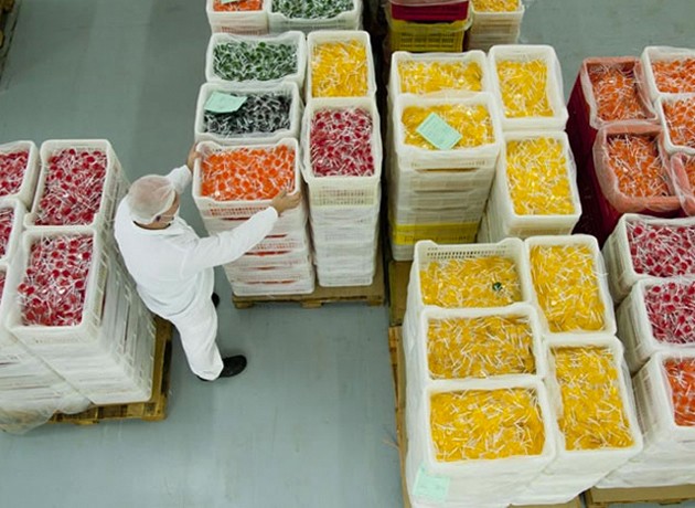 Arcor adelanta una semana de vacaciones a los 400 operarios de la planta por caída de ventas | Actualidad