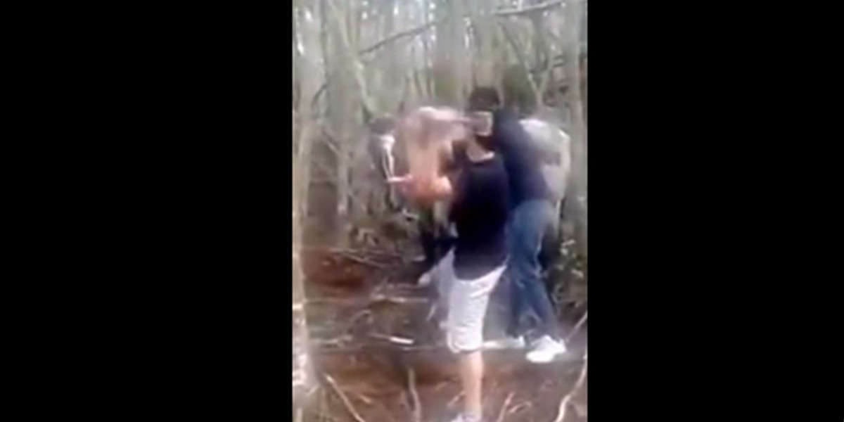 Matan a mazazos y faenan a un caballo que estaba atado | Actualidad