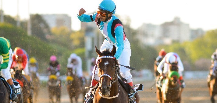 El 28 de agosto vuelve el turf en el Hipódromo de Palermo | Actualidad