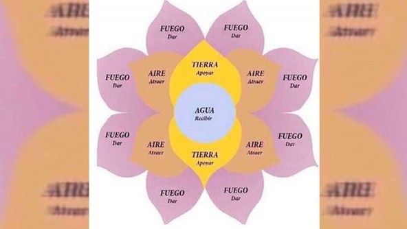 Una mujer estafó a varios pobladores de Chamical, en La Rioja, con la Flor de la Abundancia | Actualidad
