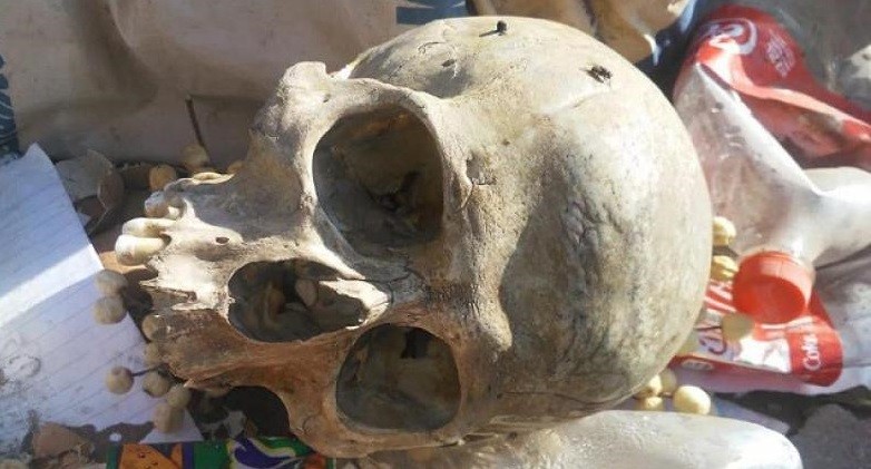 Punta Alta: hallaron un cráneo en el basural municipal | Actualidad