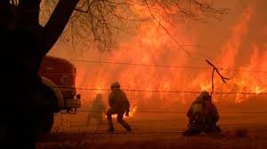 Declaran emergencia agropecuaria por incendios en Córdoba | Clima, naturaleza y medio ambiente