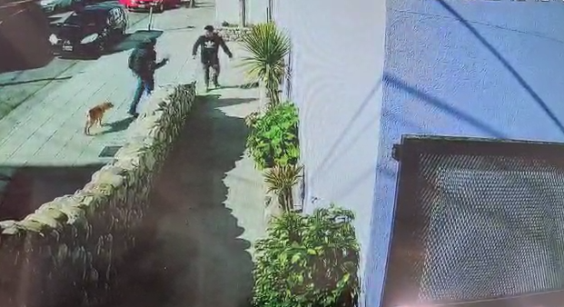 Pitu Blázquez impidió un insólito robo en la puerta de su escuela de acrobacia | Actualidad