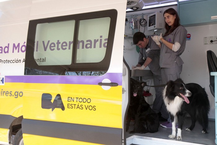 Hoy brindan atención veterinaria gratuita en Capital Federal | Actualidad