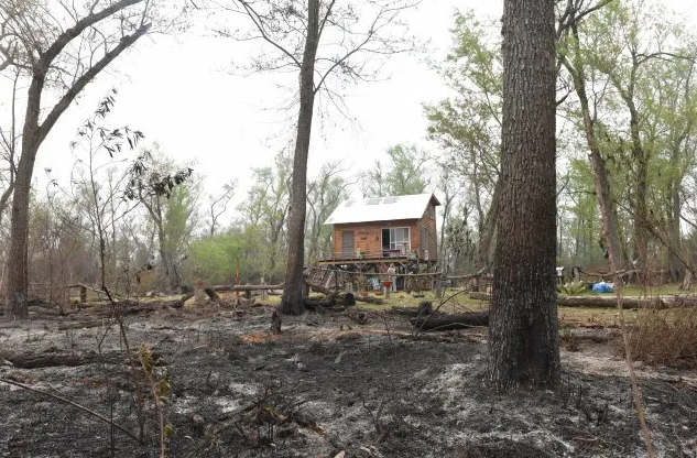 El delta arde: estiman que hay unas 200 mil hectáreas bajo cenizas | Clima, naturaleza y medio ambiente