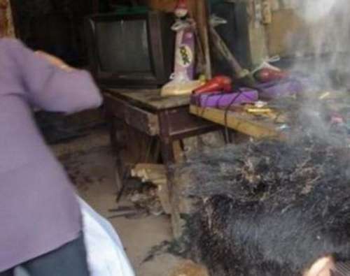 Bullying: le quemaron el pelo por no soplar durante un examen | Actualidad