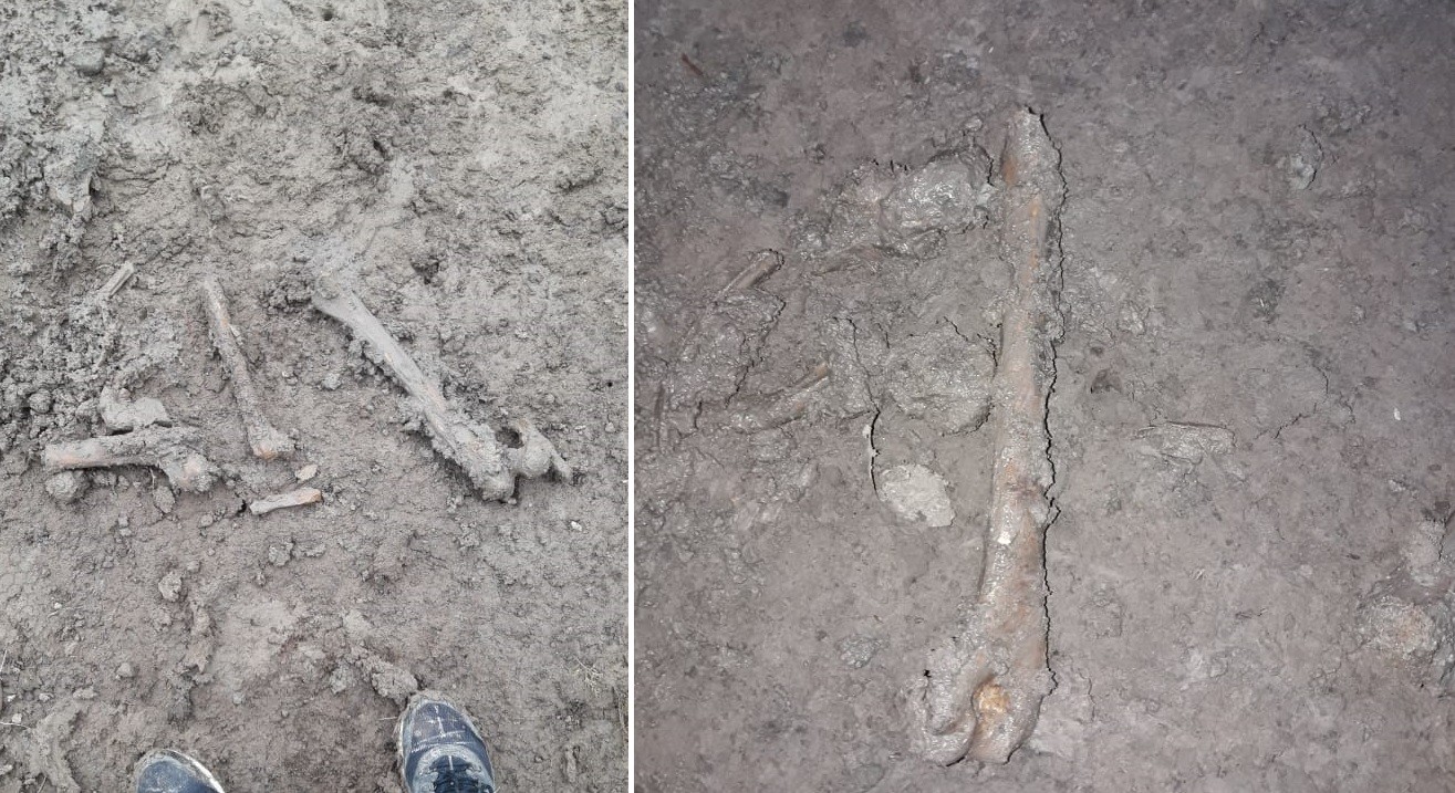 Caso Facundo: la querella asegura que hay "un cementerio clandestino de la policía bonaerense" | Actualidad