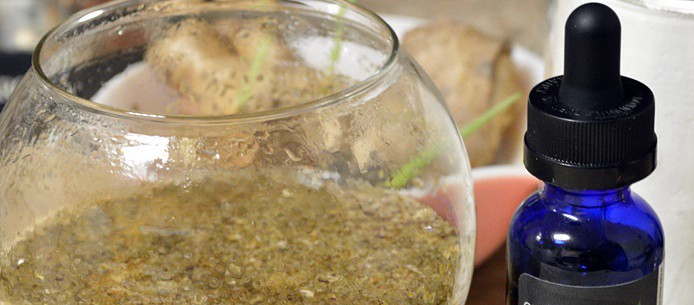 Juez ordenó a una obra social que suministre marihuana medicinal a un nene de un año y medio | Actualidad