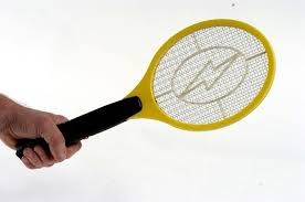 Provocó una explosión en su casa por intentar matar a una mosca | Internacionales