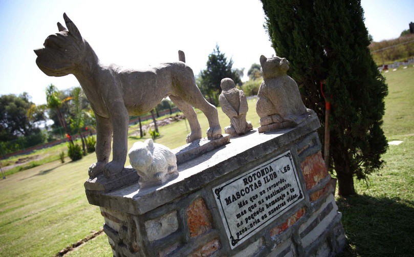 Aprueban la creación de un cementerio y crematorio de animales en Rosario | Actualidad