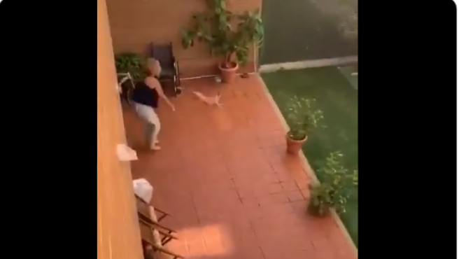 Video: el momento en que una mujer estampa a su perrito contra el piso | Curiosidades