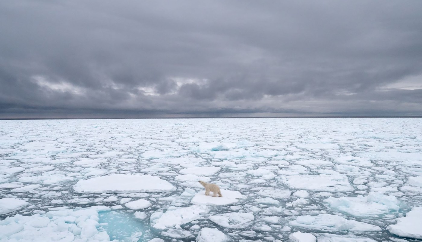 Calentamiento global: el casquete polar ártico alcanzó su segundo nivel más bajo desde que hay registro | Clima, naturaleza y medio ambiente