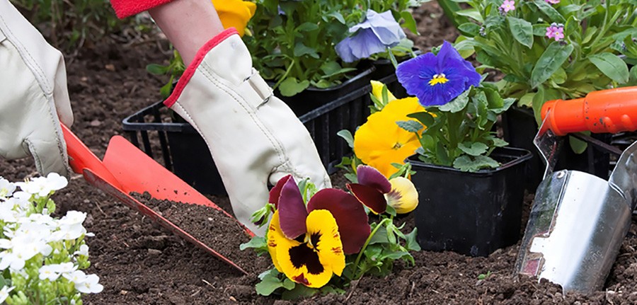 Se incrementó la demanda de cursos de jardinería durante el aislamiento social | Actualidad