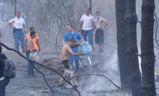 Video desolador: así quedó el bosque incendiado en Valeria del Mar | Actualidad