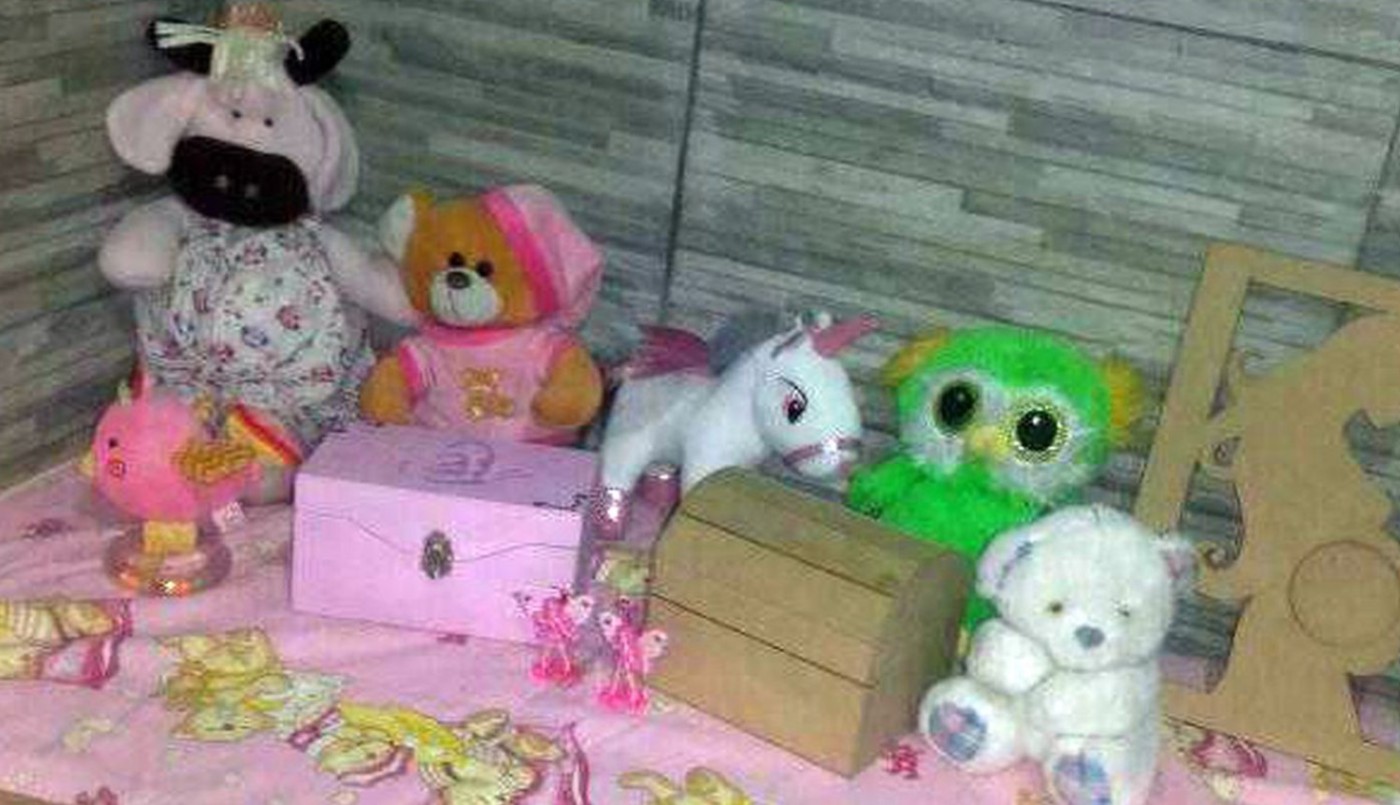 Entraron a robar a su casa y se llevaron las cenizas de sus mellizas fallecidas | Actualidad