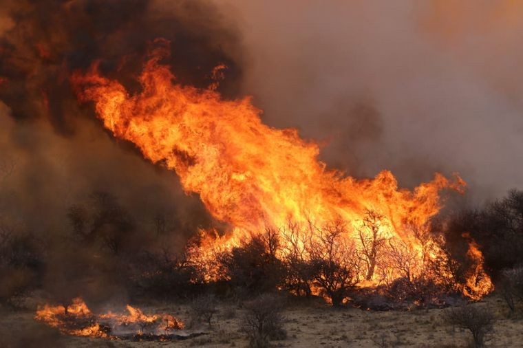 Incendios en Argentina: son once las provincias que permanecen con focos activos | Clima, naturaleza y medio ambiente