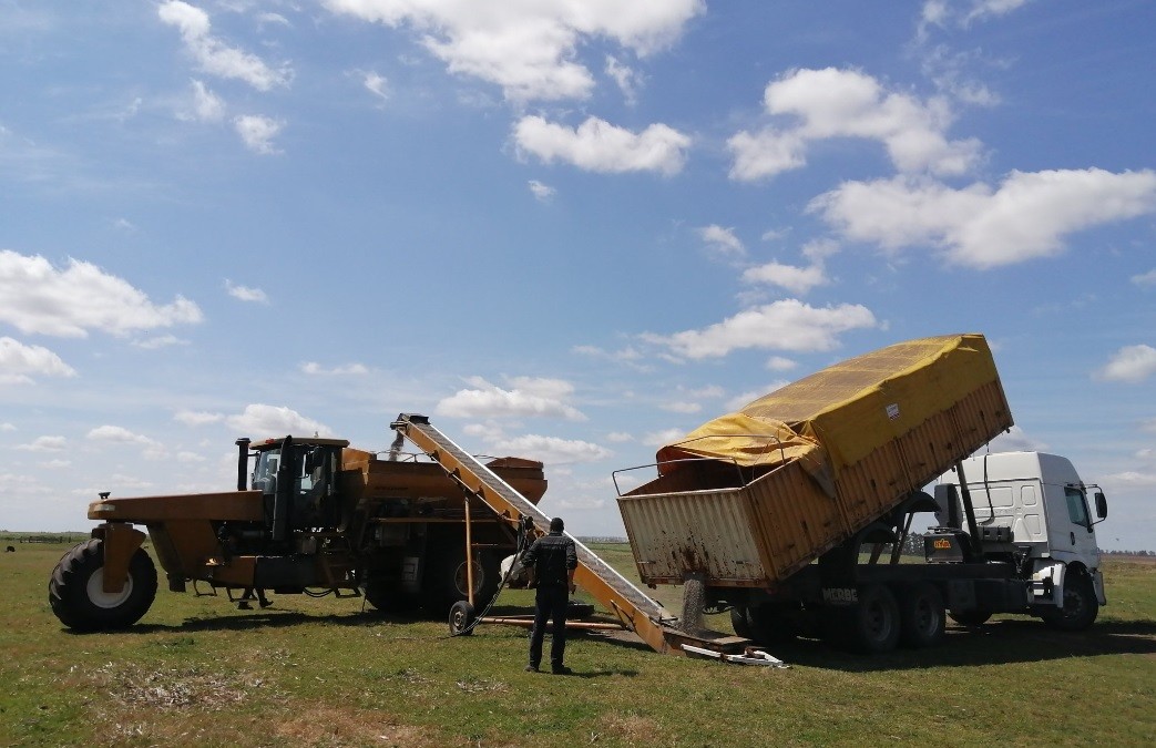 El Gobierno formalizó la baja temporal de retenciones a la soja | Política