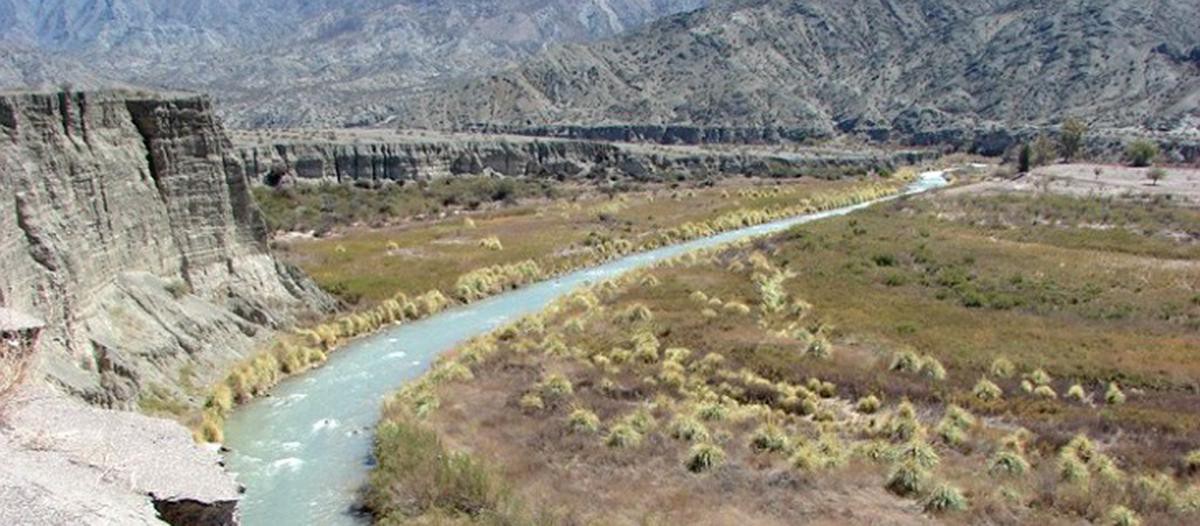 Nena de 5 años fue con su familia al río y murió al sufrir la picadura de un insecto | Actualidad